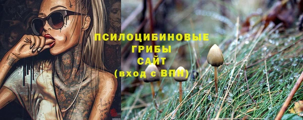 скорость Заводоуковск