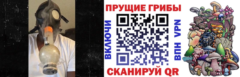 Галлюциногенные грибы Cubensis  Купить закладки  Белово 