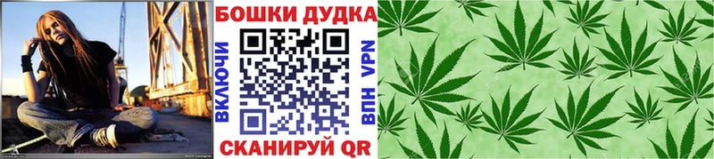 Каннабис SATIVA & INDICA  Купить где  Белово 